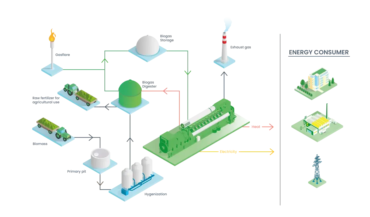 Schemat pokazuje, jak działają elektrociepłownie: biomasa i nawozy trafiają do biogazowni, gdzie powstaje biogaz. Jest on spalany w silniku, produkując ciepło i prąd dla odbiorców.