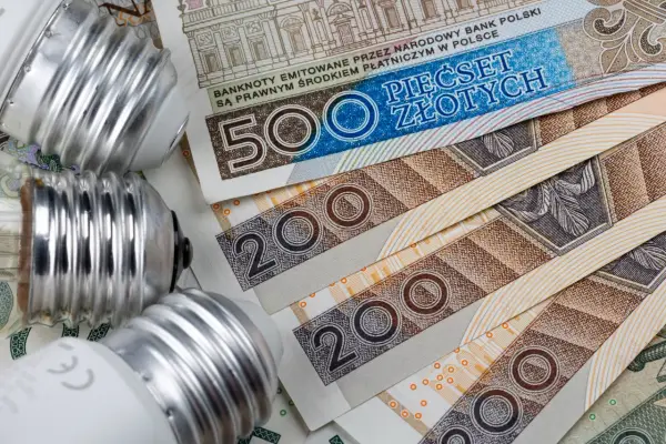 Żarówki na stosie polskich banknotów. Zastanawiasz się, ile kosztuje kilowat prądu?